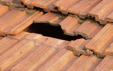 roof repair Cricket Malherbie, Somerset
